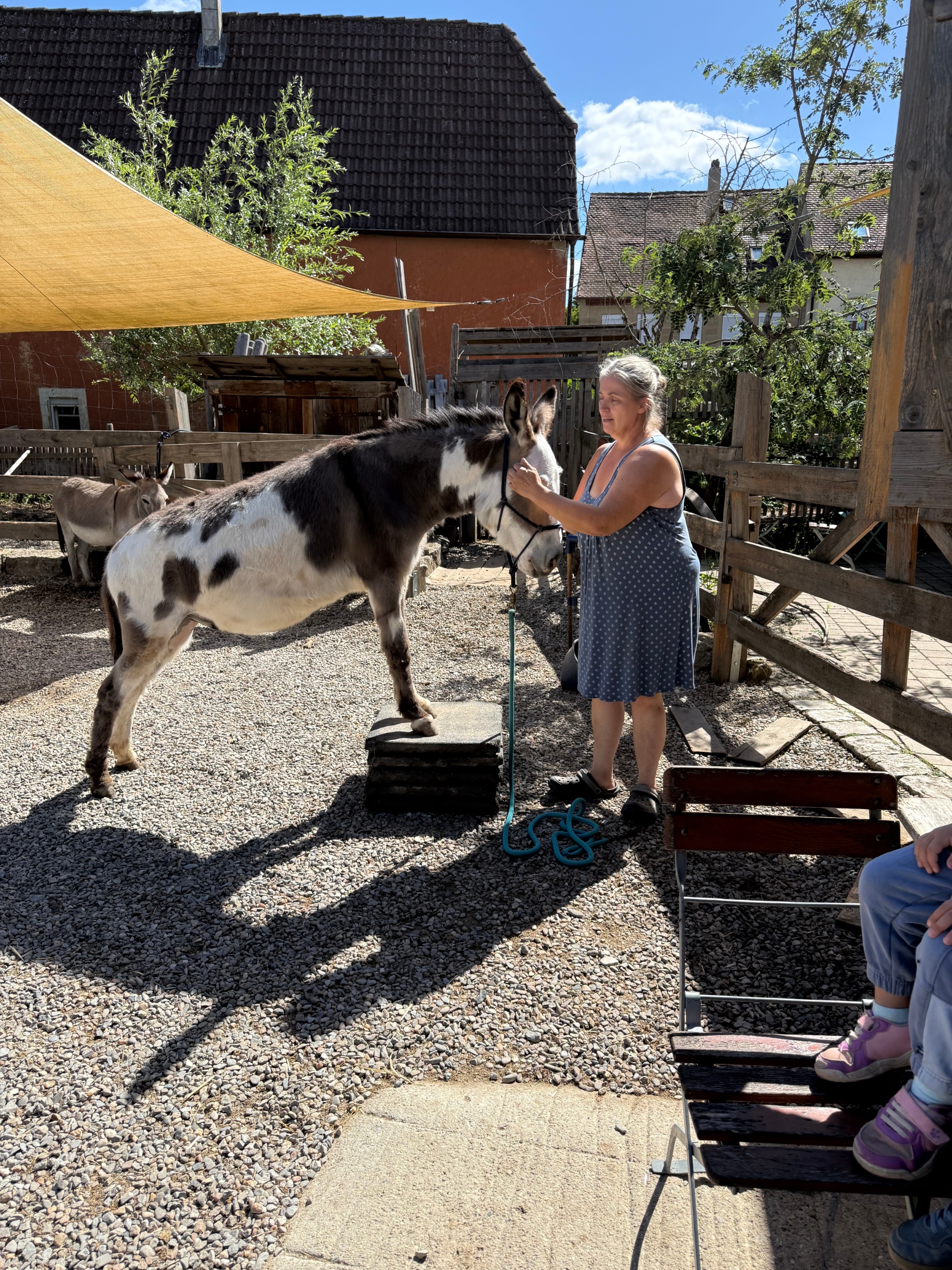 Besuch der Eselei