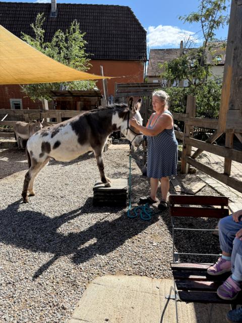 Besuch der Eselei
