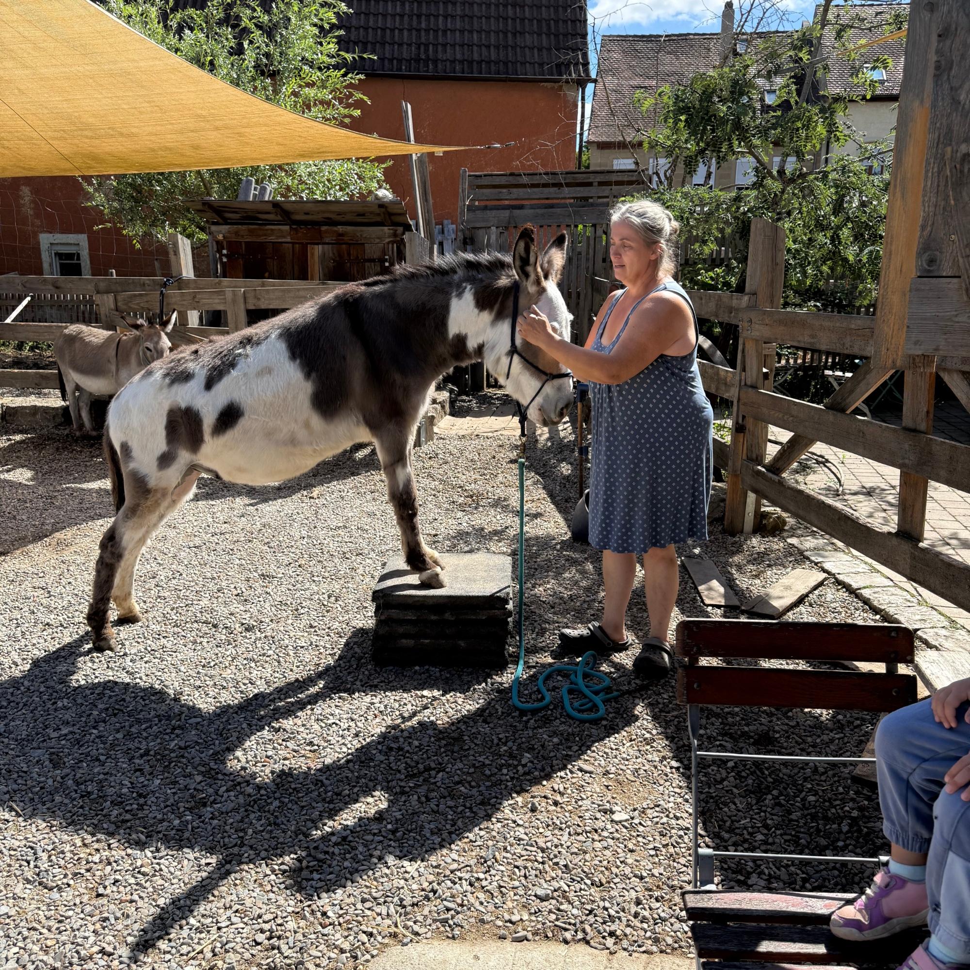 Besuch der Eselei